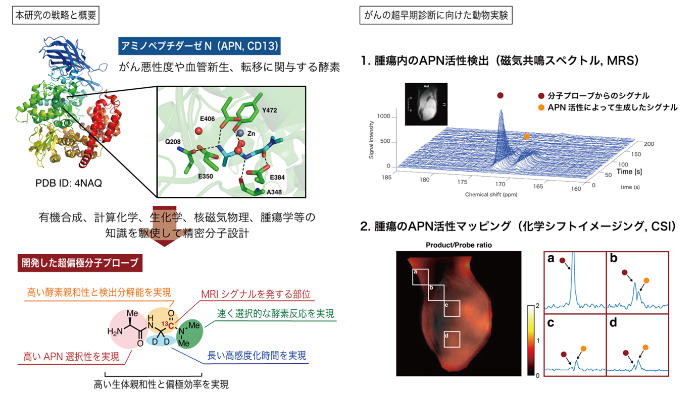 本発表の概要