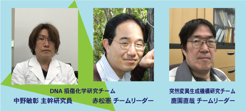 研究に携わった人