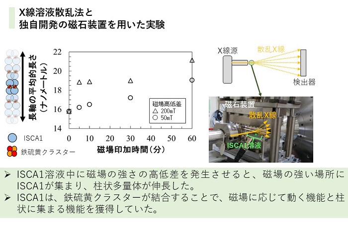 図2：実験手法