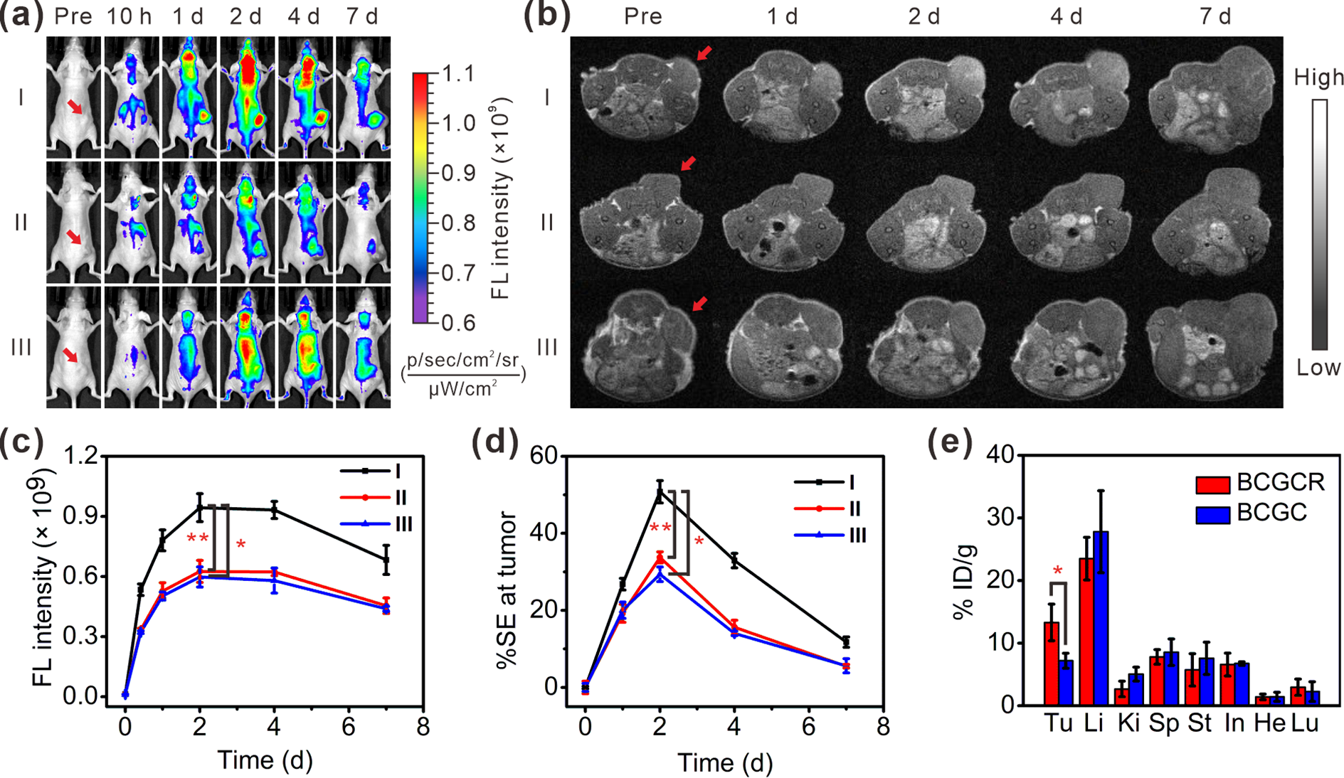 U87MG担がんマウスの蛍光／磁性バイモーダルイメージング診断と生体内分布解析