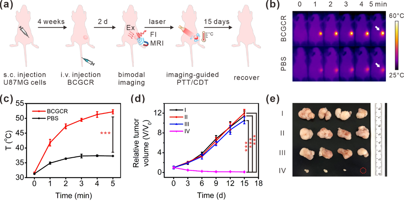 生体内（In vivo）における悪性腫瘍の相乗的PTT／CDT。