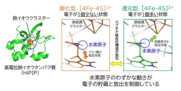 図2：HiPIP