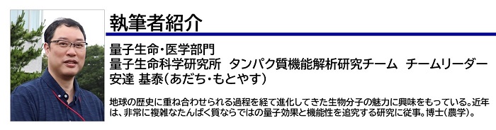 執筆者紹介　安達TL