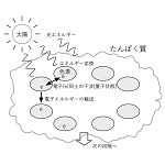 エネルギー変換のイメージアイコン