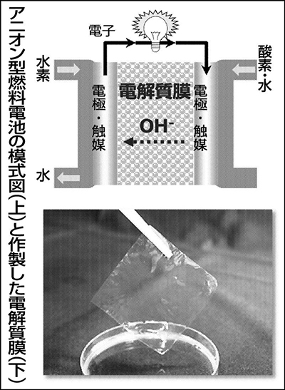 アニオン型燃料電池模式図