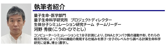 執筆者紹介　河野さん