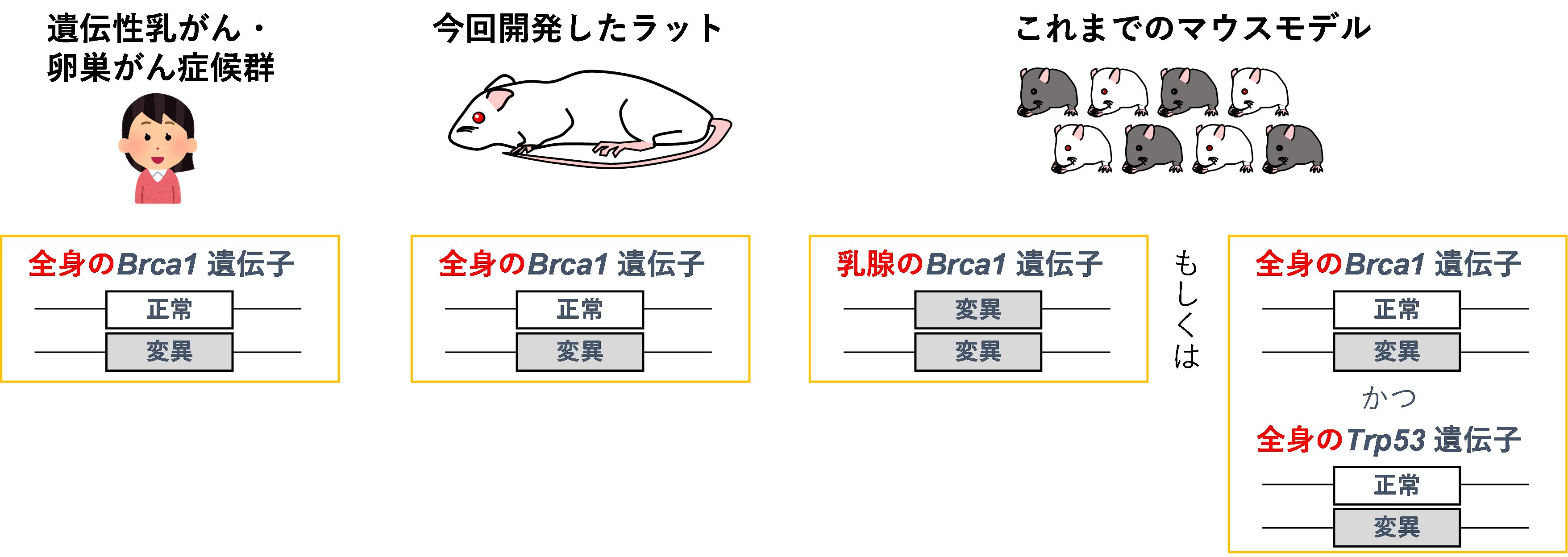 HBOCはどのように診断されますか?
