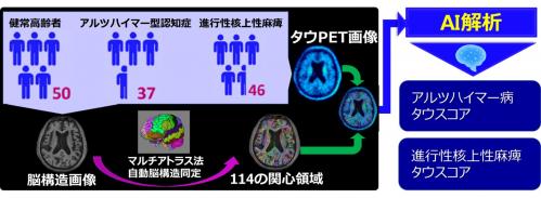 本研究の方法概要