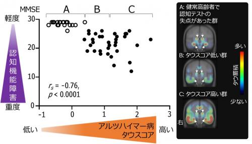 図３　タウスコアと認知機能の障害の関連