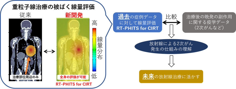 開発した線量評価システム（RT-PHITS for CIRT）の役割のイメージ図