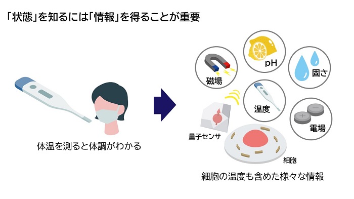 量子センサの概念図