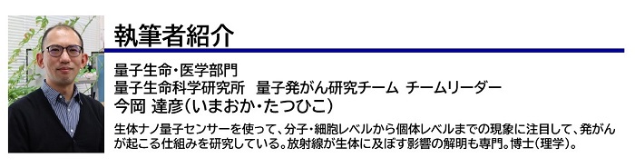 執筆者紹介　今岡TL