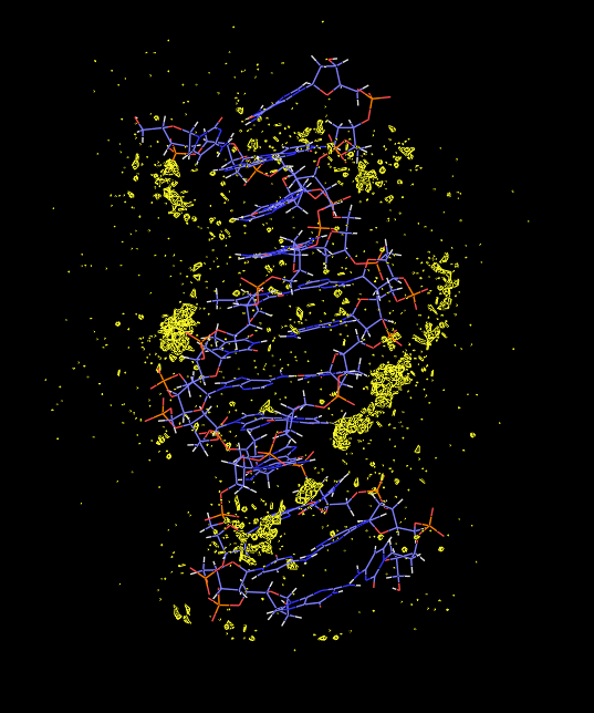 dna