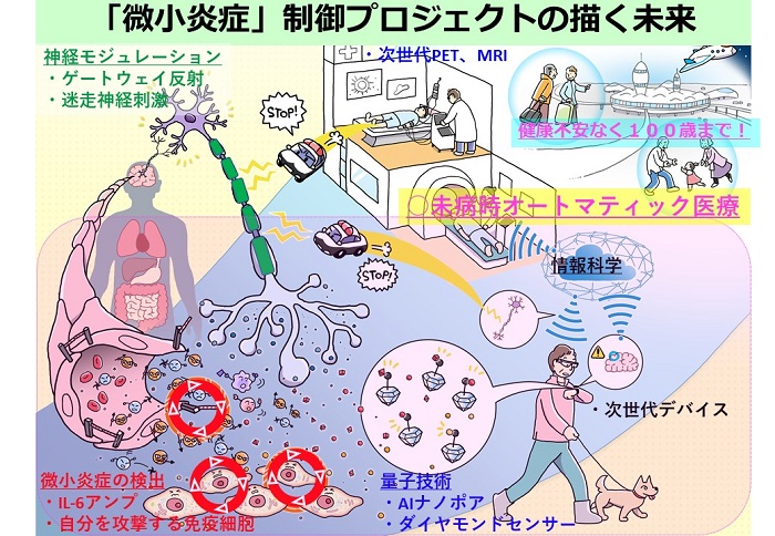 微小炎症制御プロジェクトの概念図