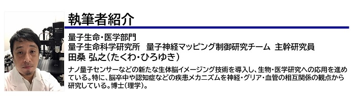 執筆者紹介　田桑主幹研究員