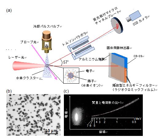 図２．(a)水素クラスターを用いたレーザー陽子ビーム加速実験の概略図。(b)固体飛跡検出器（レーザー進行方向に設置）で検出されたイオンのエッチピット（腐食孔）の顕微鏡画像。エッチピットの大きさから、観測されたシグナルが純度１００％の陽子ビームであることが確