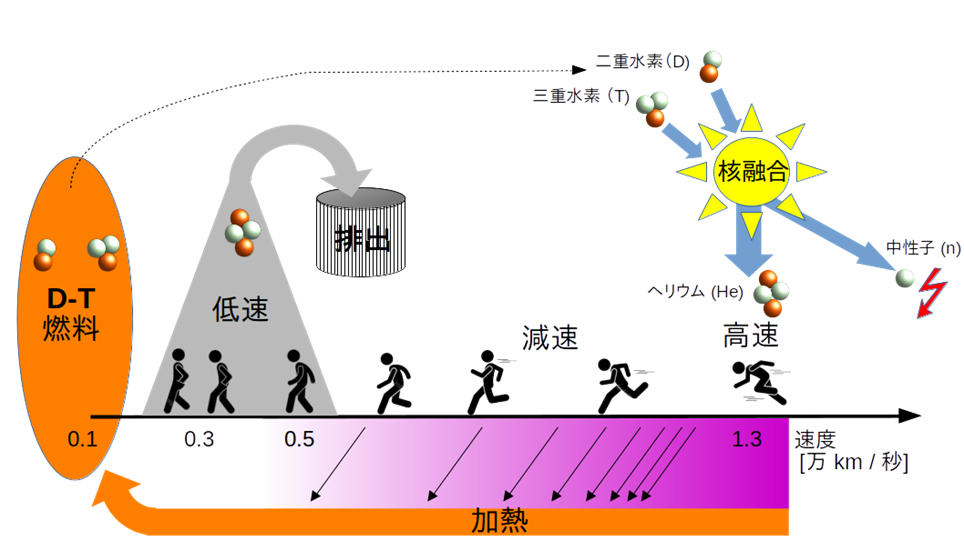 図1　核融合炉において核融合反応で生成された高速ヘリウムの生涯過程