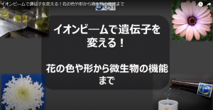 量子ビーム変異誘発サムネイル