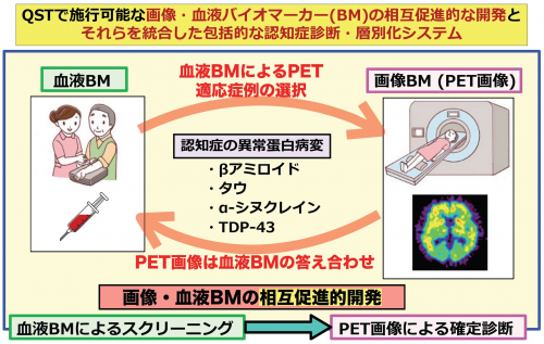 QSTで施行可能な画像・血液バイオマーカーを統合した包括的な認知症診断・層別化システムのイメージ