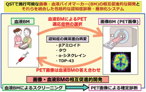 QSTで施行可能な血液・画像バイオマーカーを統合した包括的な認知症診断・層別化システムのイメージ