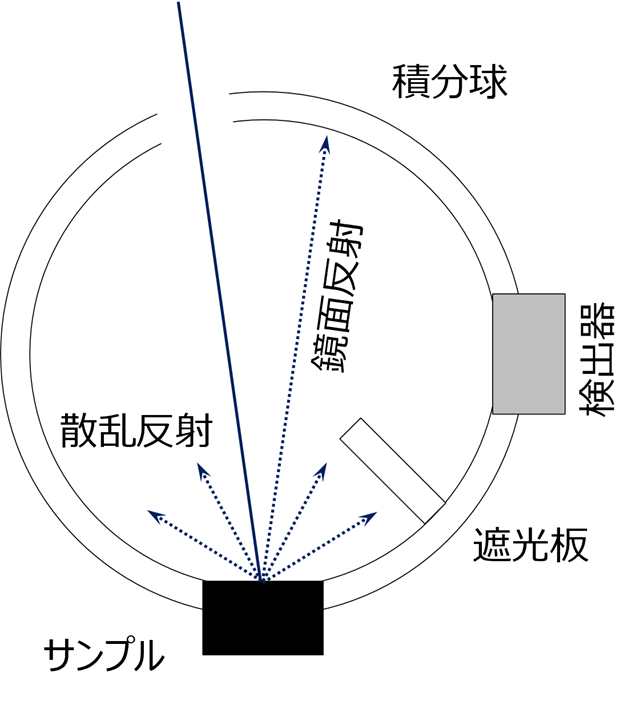 ※Science Advances誌に掲載された図を改変。クリエイティブ・コモンズ・ライセンス（表示4.0国際）