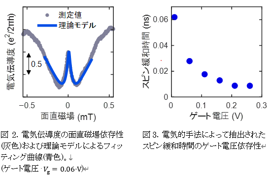 電気伝導度の面直磁場依存性(灰色)および理論モデルによるフィッティング曲線と電気的手法によって抽出されたスピン緩和時間のゲート電圧依存性