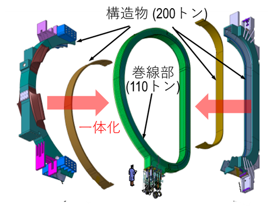 TFコイルの構造