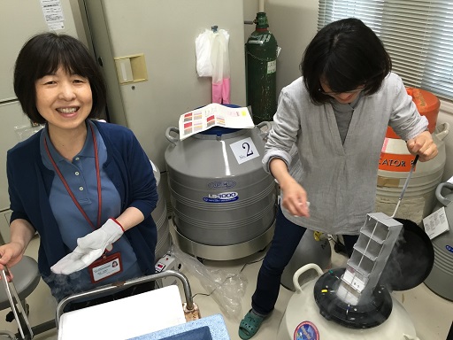 放射線影響研究部長 柿沼 志津子(左)の写真8