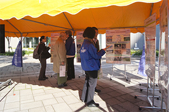 展示の様子