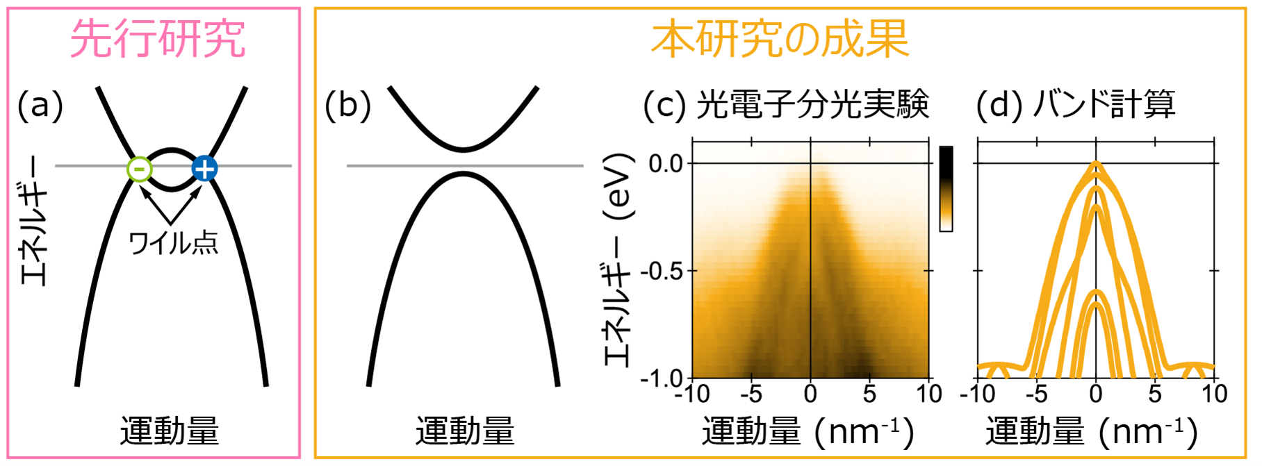 研究成果の概要