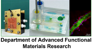 Department of Advanced Functional Materials Research