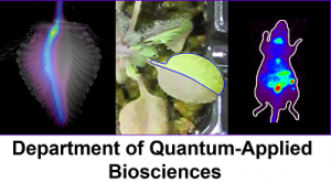 Department of Quantum-Applied Biosciences