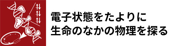 電子物性研究チームタイトル