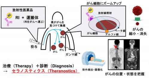 RIを利用したがんの診断及び治療のしくみ