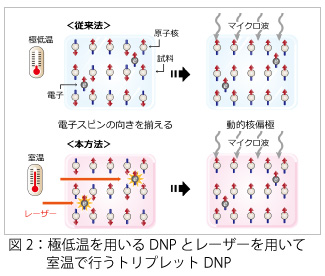 図2：DNPとトリプレットDNP
