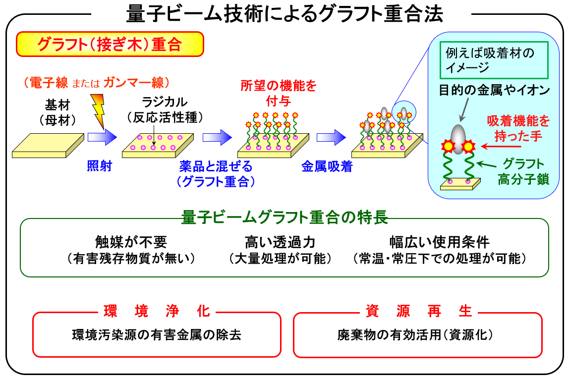 量子ビーム技術によるグラフト重合法