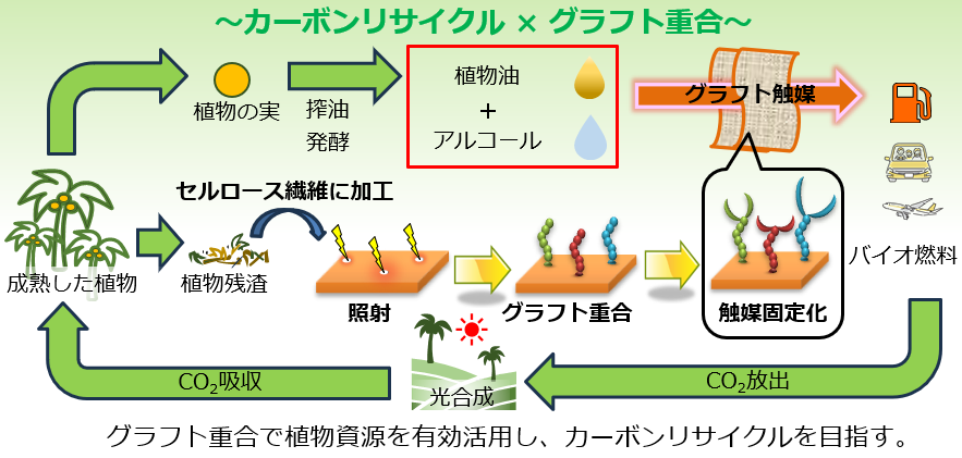 トップページ3