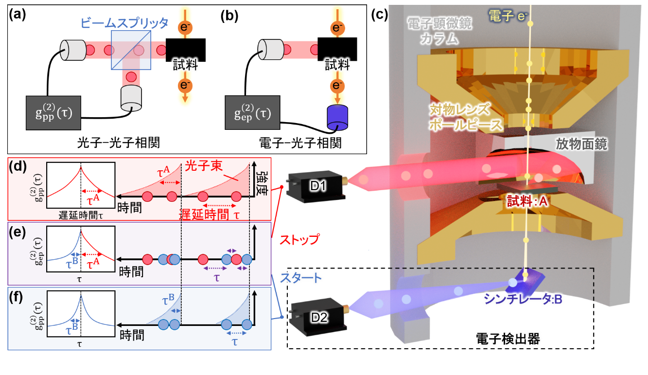 電子－光子相関計測の模式図