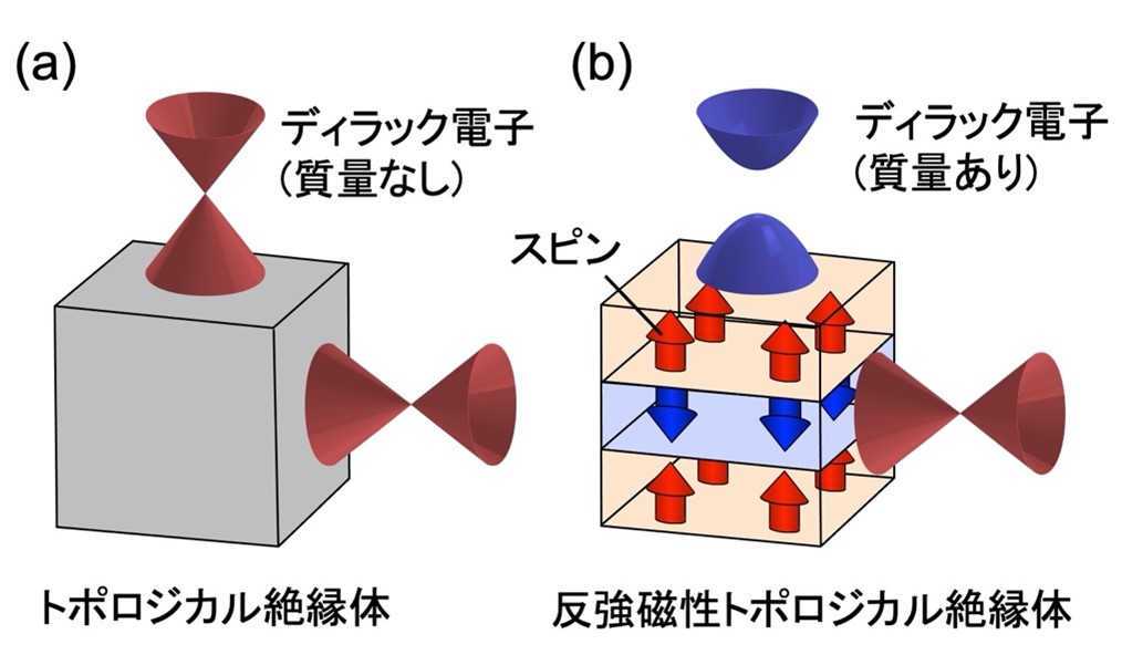 トポロジカル絶縁体、および反強磁性トポロジカル絶縁体におけるディラック電子状態の模式図