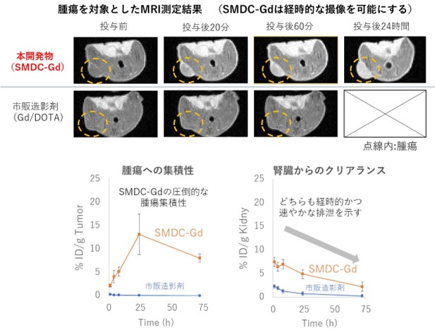 本開発物のMRI測定結果と市販製剤と比較した場合の腫瘍集積ならびに腎クリアランス