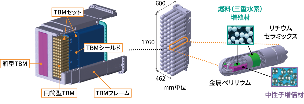 ブランケット開発