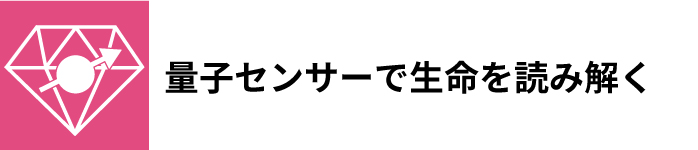 タイトル