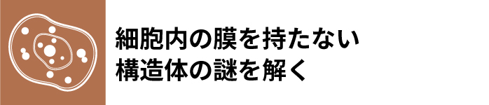 タイトル