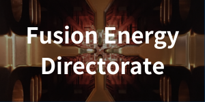 Fusion Energy Directorate