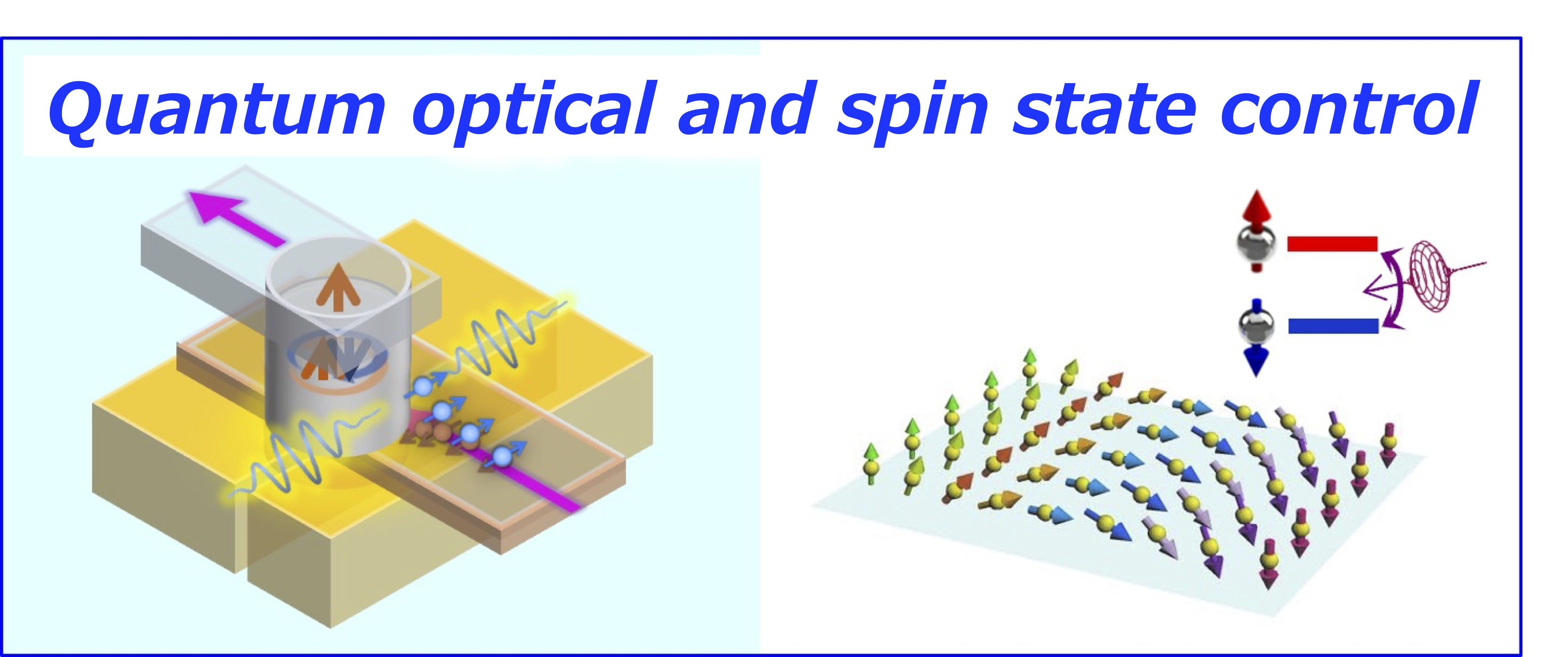 Quantum optical and spin state control