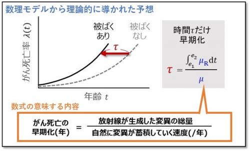 数理モデルから導かれた被ばくによるがん死亡の早期化を求める数式