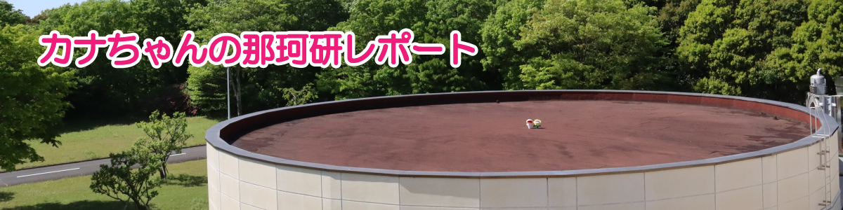 カナちゃんの那珂研レポート