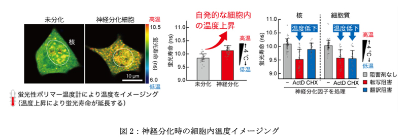 イメージングの図