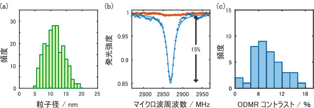Si-DNDの透過電子顕微鏡画像から求めた粒径分布ほか