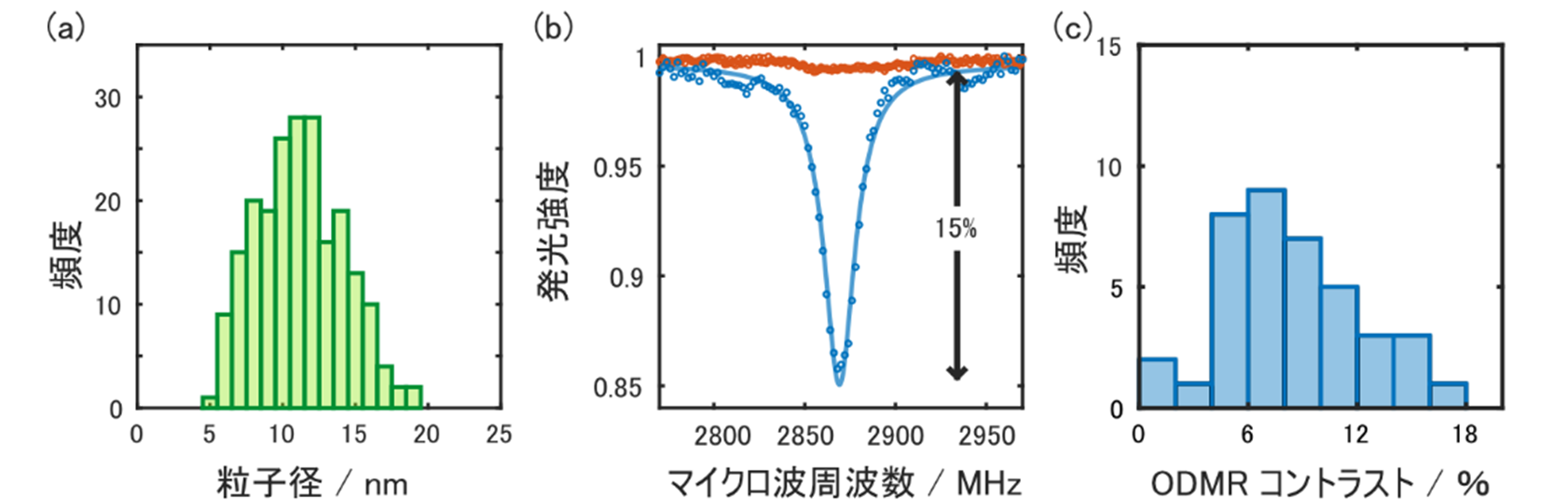 粒径分布、スペクトル、コントラストのグラフ